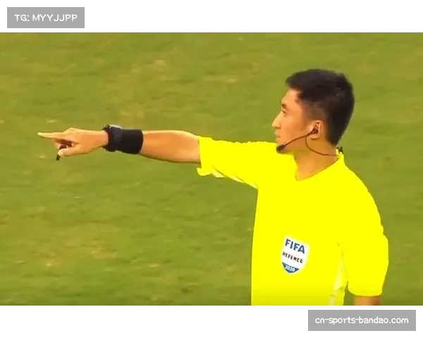 车手呼吁每站配备经验丰富裁判 承认规则无法覆盖所有场景